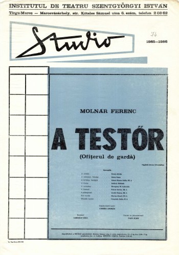 A testőr