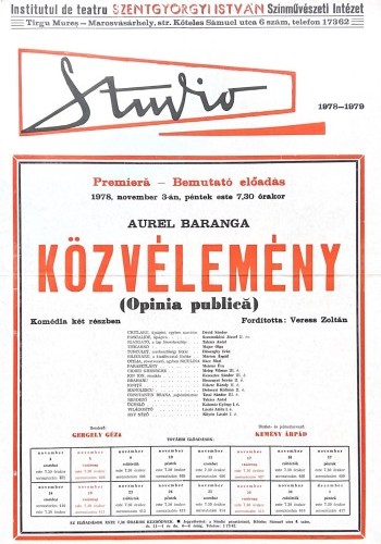 Közvélemény