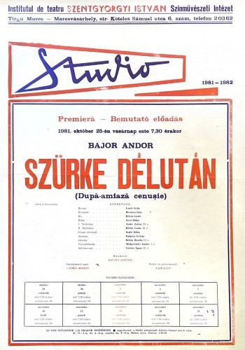 Szürke délután