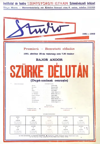 Szürke délután